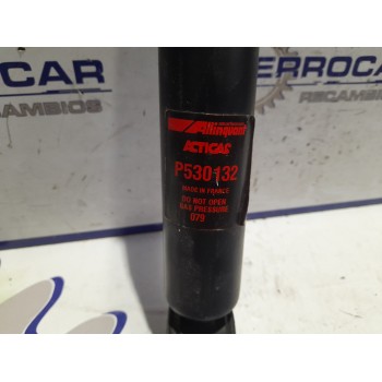 Recambio de amortiguador delantero para » otros... modelos referencia OEM IAM   