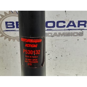 Recambio de amortiguador trasero para » otros... modelos referencia OEM IAM P530132  