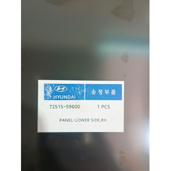 Recambio de panel lateral para hyundai referencia OEM IAM 7251559600  