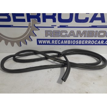 GOMA CONTORNO 9819625181 