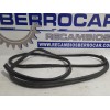 Recambio de goma contorno para peugeot expert furgón 1.6 blue-hdi fap referencia OEM IAM 9819625181  