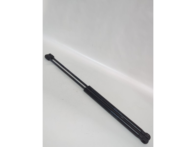 Recambio de amortiguadores capo para fiat stilo (192_) 1.4 16v (192axh1b, 192bxh1b) referencia OEM IAM 7022TI0380N  