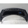 Recambio de capot para renault scenic ii authentique referencia OEM IAM 651001097R  