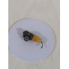 Recambio de sensor para fiat doblo cargo (263_) 1.3 d multijet referencia OEM IAM 50509588  