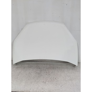 Recambio de capot para fiat doblo cargo (263_) 1.3 d multijet referencia OEM IAM 51810378  