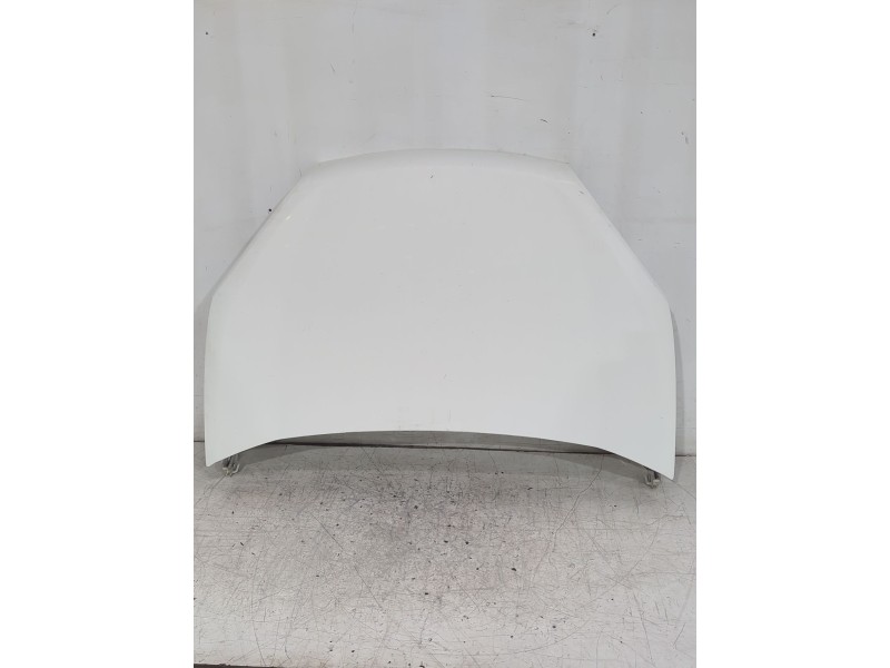 Recambio de capot para fiat doblo cargo (263_) 1.3 d multijet referencia OEM IAM 51810378  