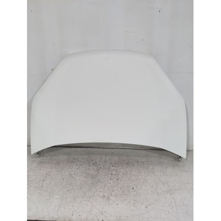 Recambio de capot para fiat doblo cargo (263_) 1.3 d multijet referencia OEM IAM 51810378  