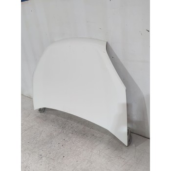 Recambio de capot para fiat doblo cargo (263_) 1.3 d multijet referencia OEM IAM 51810378  