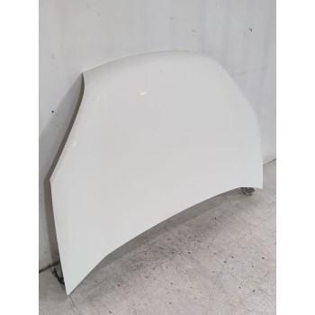Recambio de capot para fiat doblo cargo (263_) 1.3 d multijet referencia OEM IAM 51810378  