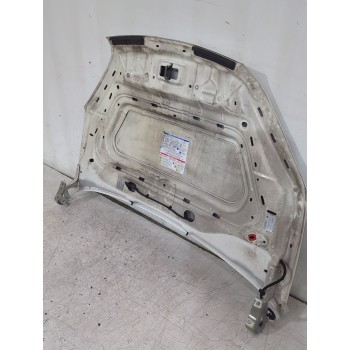 Recambio de capot para fiat doblo cargo (263_) 1.3 d multijet referencia OEM IAM 51810378  
