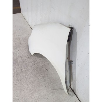 Recambio de aleta delantera izquierda para fiat doblo cargo (263_) 1.3 d multijet referencia OEM IAM 0000051822255  