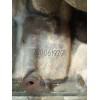 Recambio de motor completo para opel astra g hatchback (t98) 1.6 (f08, f48) referencia OEM IAM VERE7900  