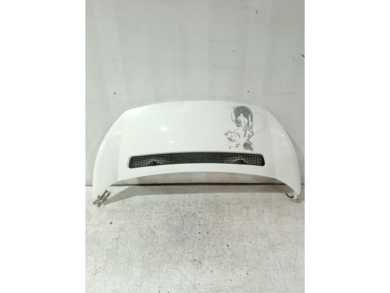 Recambio de capot para citroën jumpy ii furgoneta 1.6 hdi 90 16v referencia OEM IAM 7901N1  
