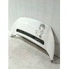 Recambio de capot para citroën jumpy ii furgoneta 1.6 hdi 90 16v referencia OEM IAM 7901N1  