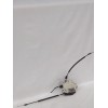 Recambio de cerradura puerta trasera izquierda para volkswagen passat b6 (3c2) 2.0 tdi 16v referencia OEM IAM 3C4839015A  