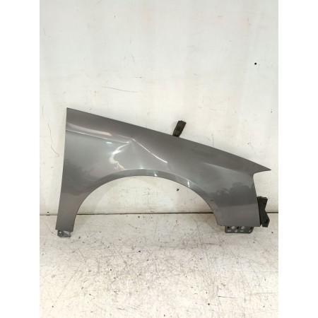 Recambio de aleta delantera derecha para volkswagen passat b6 (3c2) 2.0 tdi 16v referencia OEM IAM 3C0821022  