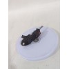 Recambio de sensor para citroën jumpy ii furgoneta 1.6 hdi 90 16v referencia OEM IAM 9663480880  