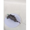 Recambio de bomba limpia para opel zafira / zafira family b (a05) 1.9 cdti (m75) referencia OEM IAM 90585762  