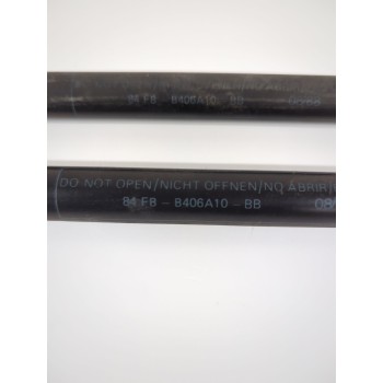 AMORTIGUADORES MALETERO / PORTON 84FBB406A10 