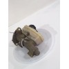 Recambio de bomba freno para ford fiesta ii (fbd) 1.1 (fbd) referencia OEM IAM 76660149  