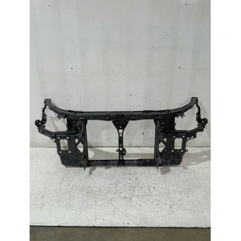 PANEL FRONTAL 641012R000 
