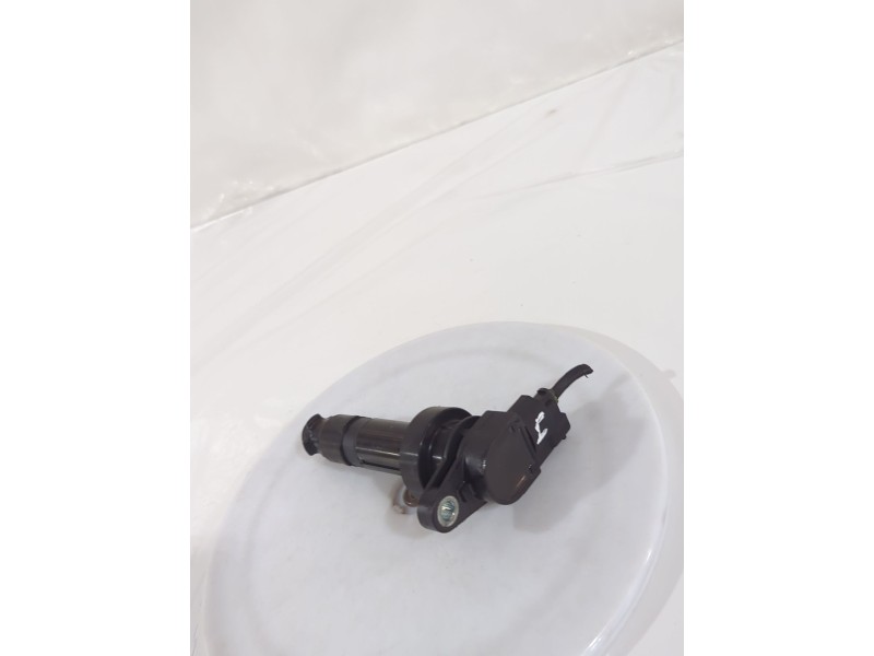 Recambio de bobina encendido para hyundai i30 (fd) 1.4 referencia OEM IAM 273012B010  