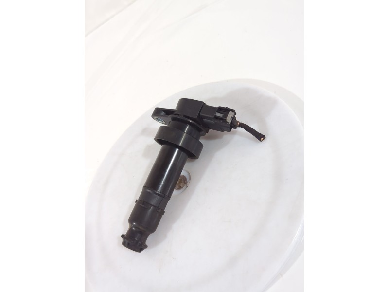 Recambio de bobina encendido para hyundai i30 (fd) 1.4 referencia OEM IAM 273012B010  