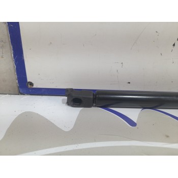 Recambio de amortiguadores maletero / porton para citroën c4 picasso referencia OEM IAM 08650650  