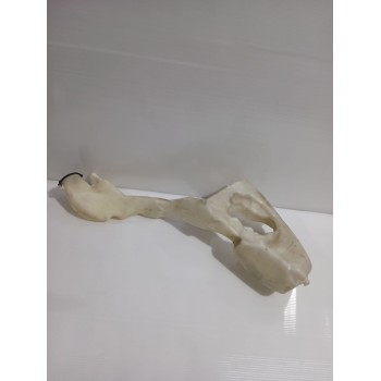 Recambio de deposito limpia para mini mini (r56) one referencia OEM IAM 61667368642  