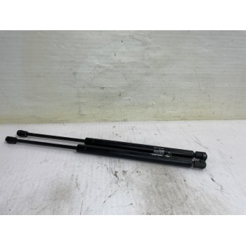 AMORTIGUADORES MALETERO / PORTON 8200119500 