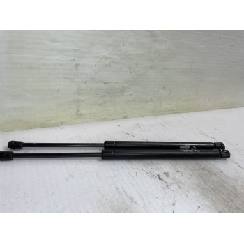 Recambio de amortiguadores maletero / porton para renault scenic ii authentique referencia OEM IAM 8200119500  