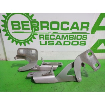 BISAGRA DE CAPOT 791247 