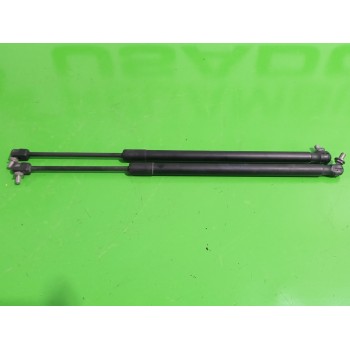 AMORTIGUADORES MALETERO / PORTON 13321298 