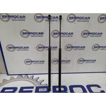 Recambio de amortiguadores maletero / porton para land rover range rover sport referencia OEM IAM 0922SF0360N  