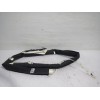 Recambio de airbag cortina delantero izquierdo para renault scenic iii bose edition referencia OEM IAM 985P10681R  