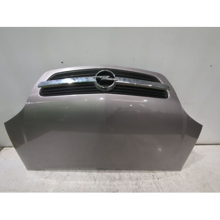 Recambio de capot para opel meriva a monospace (x03) 1.4 16v twinport (e75) referencia OEM IAM 1160006  