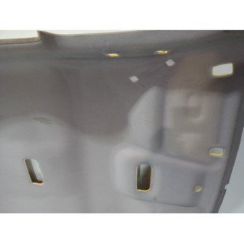 Recambio de techo interior para renault scenic iii bose edition referencia OEM IAM 739100165R  