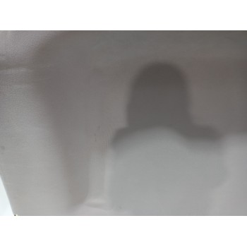 Recambio de techo interior para renault scenic iii bose edition referencia OEM IAM 739100165R  