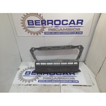 REJILLA PARAGOLPES DELANTERO 1315077070 
