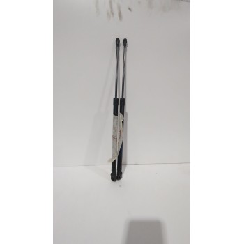 Recambio de amortiguadores maletero / porton para nissan qashqai ii (j11, j11_) 1.5 dci referencia OEM IAM 904504EA0A  