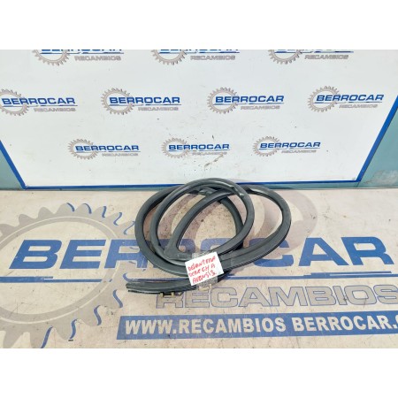 Recambio de gomas contorno puerta para toyota avensis berlina (t25) 1.8 16v cat referencia OEM IAM DELANTERA DERECHA  