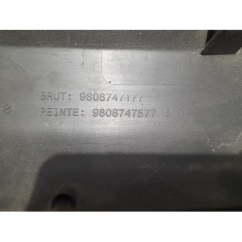 Recambio de moldura lateral para peugeot expert kasten komfort referencia OEM IAM 9808747177  