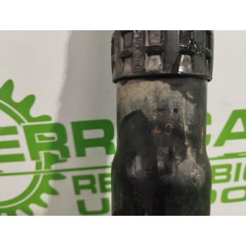 Recambio de amortiguador trasero para citroën evasion 1.9 turbodiesel referencia OEM IAM 5206P1  