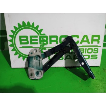 BISAGRA DE CAPOT 791242 