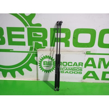 AMORTIGUADORES MALETERO / PORTON 51812267 