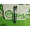 Recambio de amortiguadores maletero / porton para opel vectra c berlina essentia referencia OEM IAM 2042033  