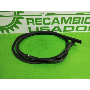 GOMAS CONTORNO PUERTA 5169962 