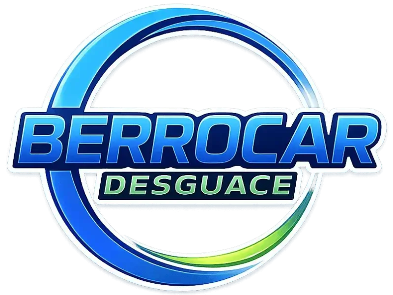 DEPOSITO DIRECCION ASISTIDA 