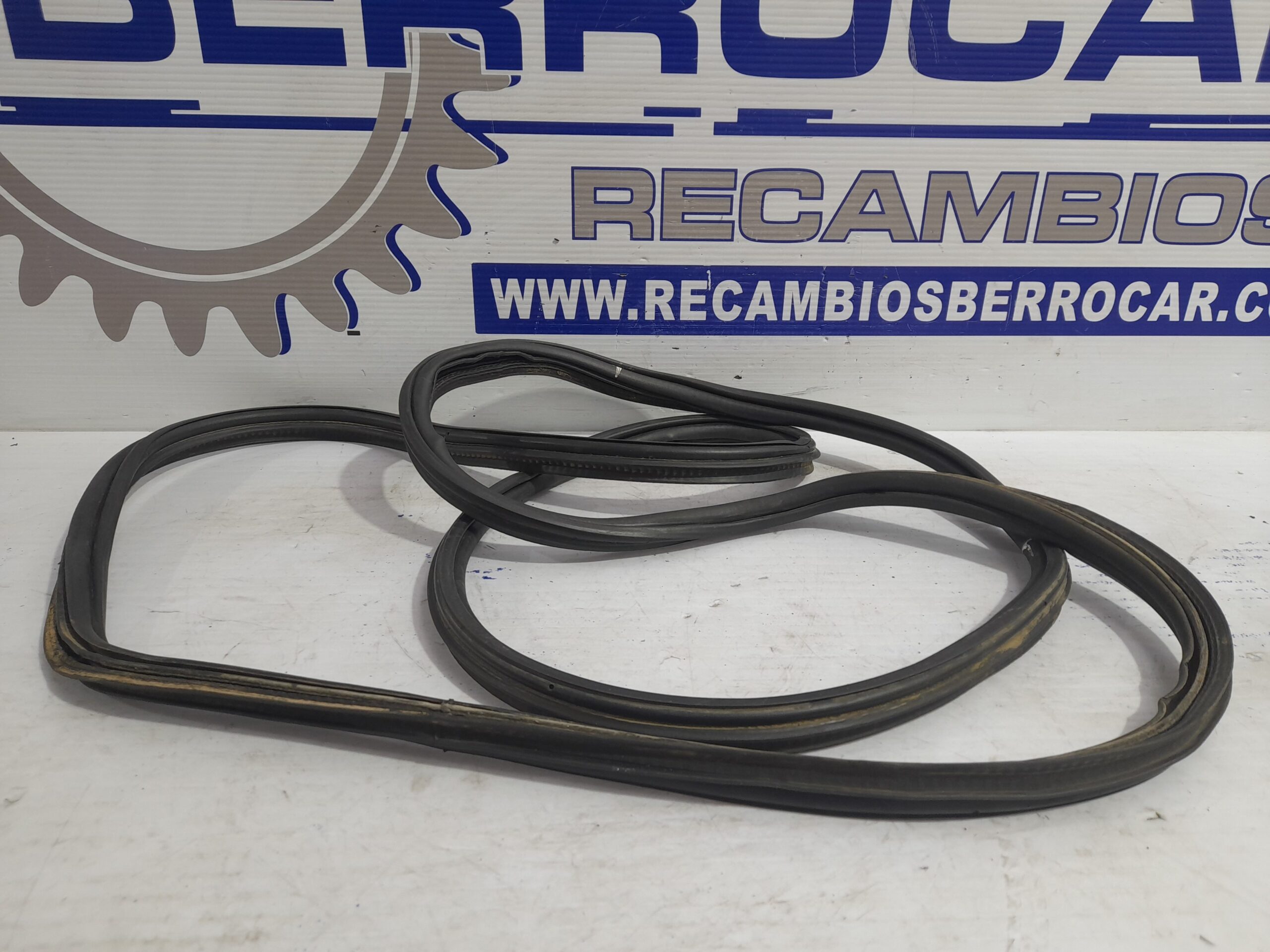 gomas_contorno_puerta_13157483_opel_zafira_a_elegance