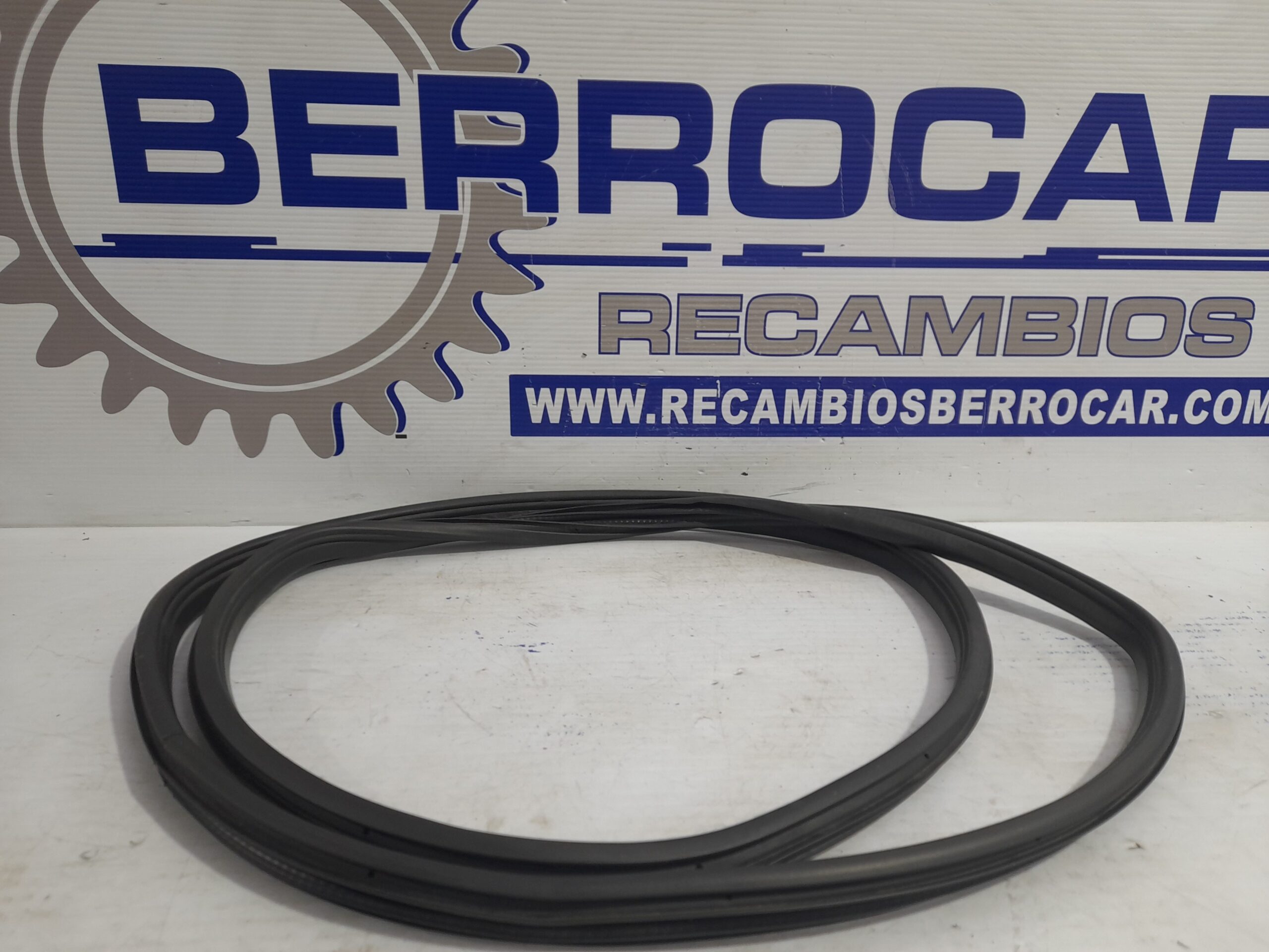 gomas_contorno_puerta_13157483_opel_zafira_a_elegance